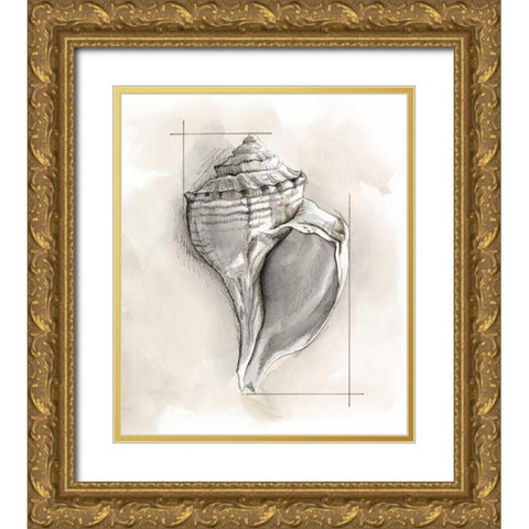 Shell Schematic I Gold Ornate Wood Framed Art Print with Double Matting by Meagher, Megan