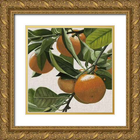 Bright Citrus I Gold Ornate Wood Framed Art Print with Double Matting by McCavitt, Naomi