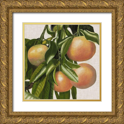 Bright Citrus II Gold Ornate Wood Framed Art Print with Double Matting by McCavitt, Naomi
