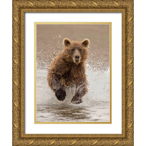 Bears at Play II Gold Ornate Wood Framed Art Print with Double Matting by PHBurchett