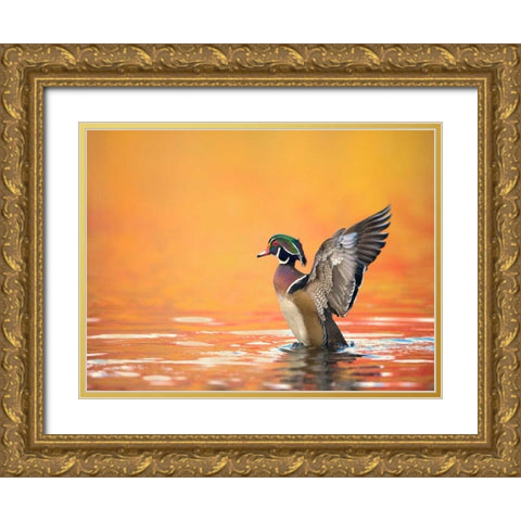 Water Bird Glimpse III Gold Ornate Wood Framed Art Print with Double Matting by Burchett, PH