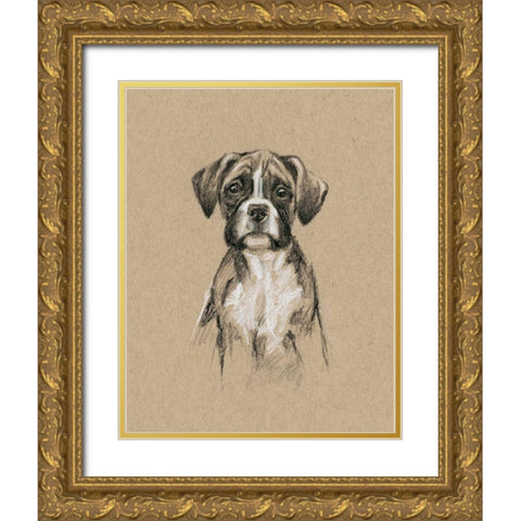 Breed Sketches V Gold Ornate Wood Framed Art Print with Double Matting by Harper, Ethan