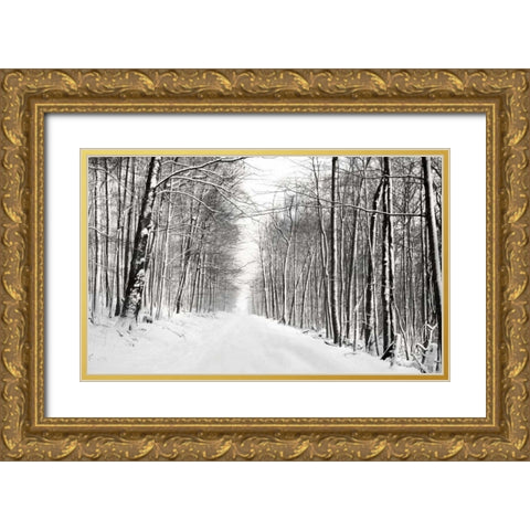 A Snowy Walk III Gold Ornate Wood Framed Art Print with Double Matting by McLoughlin, James
