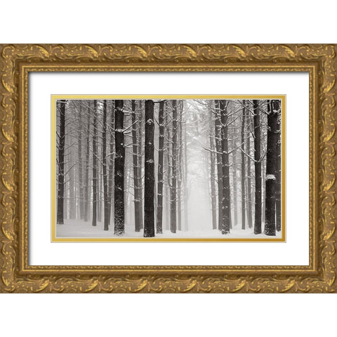 A Snowy Walk V Gold Ornate Wood Framed Art Print with Double Matting by McLoughlin, James
