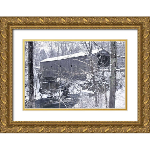 Bulls Bridge Gold Ornate Wood Framed Art Print with Double Matting by McLoughlin, James