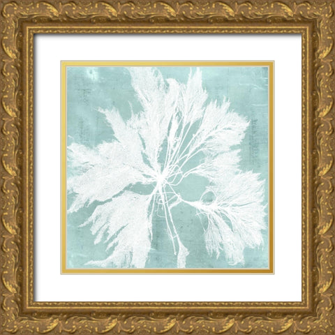 Seaweed on Aqua VI Gold Ornate Wood Framed Art Print with Double Matting by Vision Studio