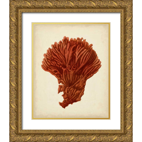 Antique Red Coral I Gold Ornate Wood Framed Art Print with Double Matting by Vision Studio