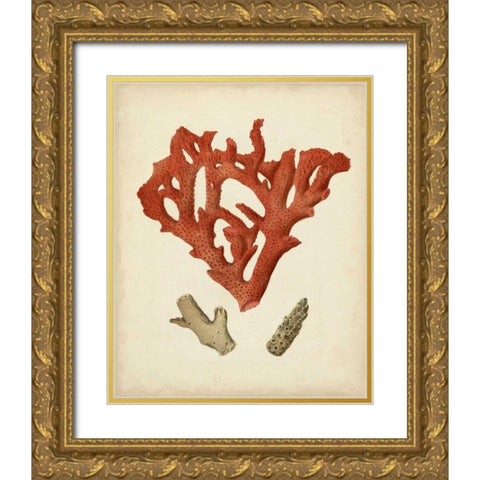 Antique Red Coral II Gold Ornate Wood Framed Art Print with Double Matting by Vision Studio
