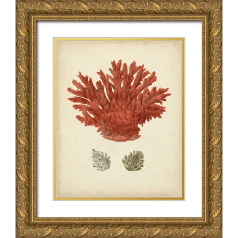 Antique Red Coral III Gold Ornate Wood Framed Art Print with Double Matting by Vision Studio
