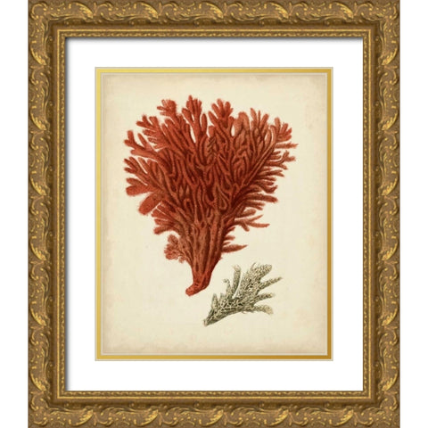 Antique Red Coral V Gold Ornate Wood Framed Art Print with Double Matting by Vision Studio