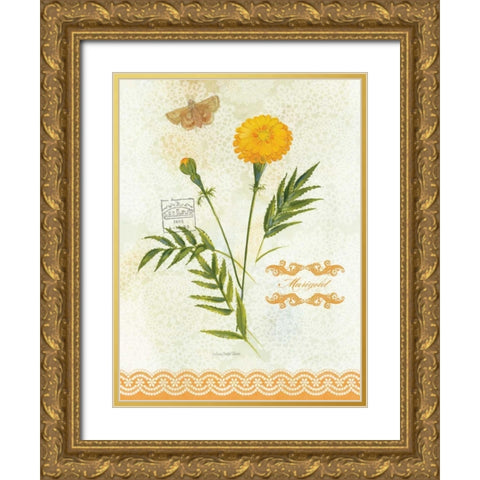Flower Study on Lace XI Gold Ornate Wood Framed Art Print with Double Matting by Della-Piana, Elissa