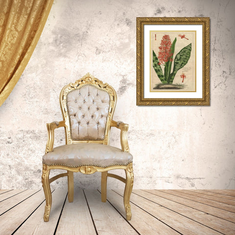 Botanical Study on Linen I Gold Ornate Wood Framed Art Print with Double Matting by Vision Studio