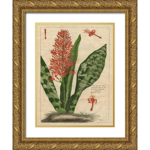 Botanical Study on Linen I Gold Ornate Wood Framed Art Print with Double Matting by Vision Studio
