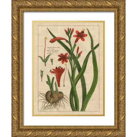 Botanical Study on Linen II Gold Ornate Wood Framed Art Print with Double Matting by Vision Studio