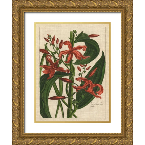 Botanical Study on Linen III Gold Ornate Wood Framed Art Print with Double Matting by Vision Studio