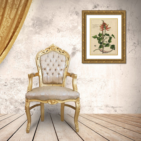 Botanical Study on Linen IV Gold Ornate Wood Framed Art Print with Double Matting by Vision Studio