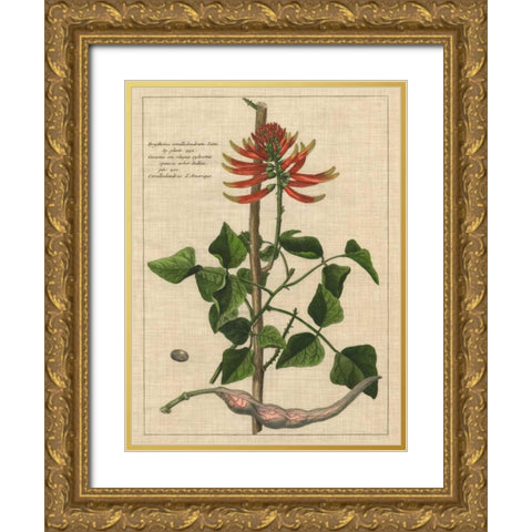 Botanical Study on Linen IV Gold Ornate Wood Framed Art Print with Double Matting by Vision Studio