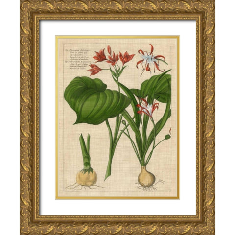 Botanical Study on Linen V Gold Ornate Wood Framed Art Print with Double Matting by Vision Studio