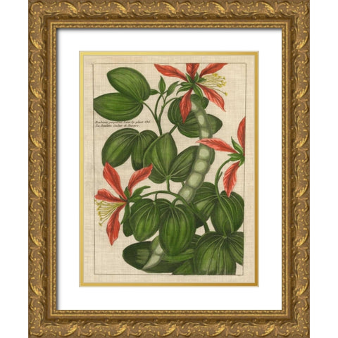 Botanical Study on Linen VI Gold Ornate Wood Framed Art Print with Double Matting by Vision Studio