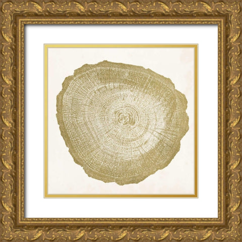 Tree Ring IV Gold Ornate Wood Framed Art Print with Double Matting by Vision Studio
