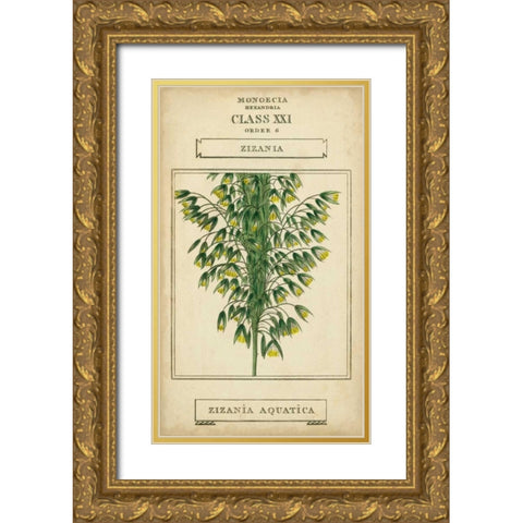 Linnaean Botany I Gold Ornate Wood Framed Art Print with Double Matting by Vision Studio