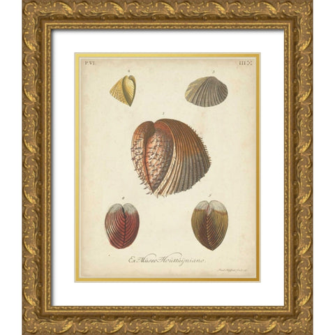 Antique Knorr Shells II Gold Ornate Wood Framed Art Print with Double Matting by Knorr