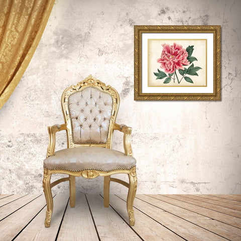 Peony Garden I Gold Ornate Wood Framed Art Print with Double Matting by Curtis