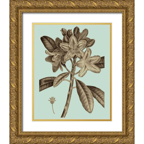 Flowering Trees IV Gold Ornate Wood Framed Art Print with Double Matting by Vision Studio