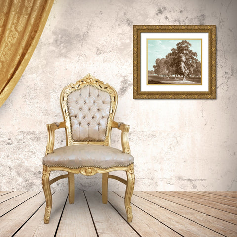 Serene Trees II Gold Ornate Wood Framed Art Print with Double Matting by Kennion, Edward