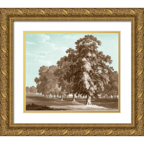 Serene Trees II Gold Ornate Wood Framed Art Print with Double Matting by Kennion, Edward