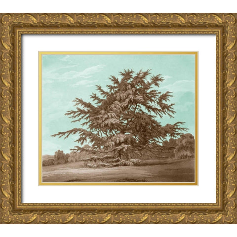 Serene Trees VI Gold Ornate Wood Framed Art Print with Double Matting by Kennion, Edward