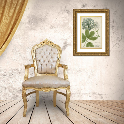 Queen Annes Lace Gold Ornate Wood Framed Art Print with Double Matting by Weinmann