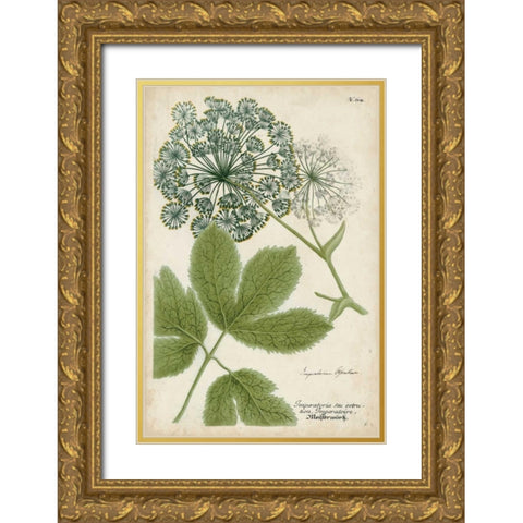 Queen Annes Lace Gold Ornate Wood Framed Art Print with Double Matting by Weinmann