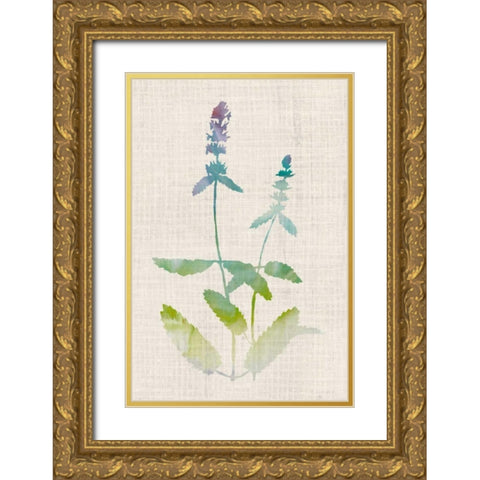 Watercolor Plants IV Gold Ornate Wood Framed Art Print with Double Matting by McCavitt, Naomi