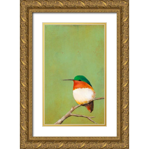 Perch III Gold Ornate Wood Framed Art Print with Double Matting by Altug, Mehmet