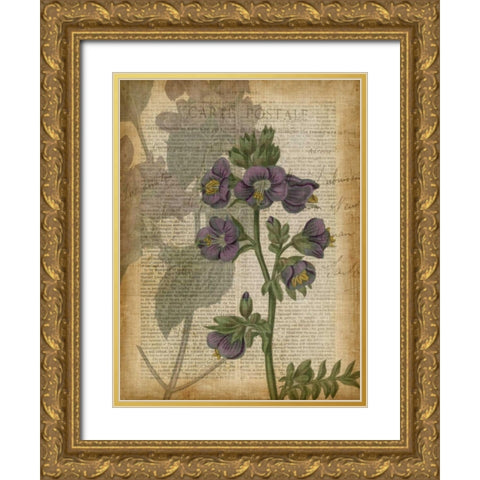 Fuchsia Flowers I Gold Ornate Wood Framed Art Print with Double Matting by Studio W