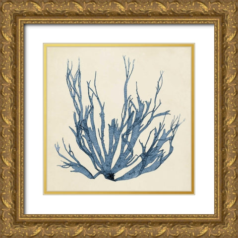 Coastal Seaweed I Gold Ornate Wood Framed Art Print with Double Matting by Vision Studio