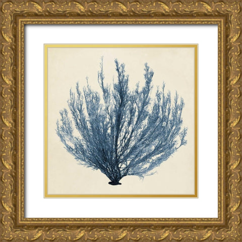 Coastal Seaweed III Gold Ornate Wood Framed Art Print with Double Matting by Vision Studio