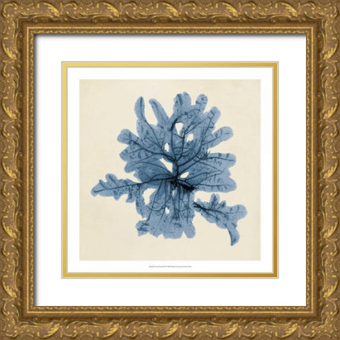 Coastal Seaweed IV Gold Ornate Wood Framed Art Print with Double Matting by Vision Studio