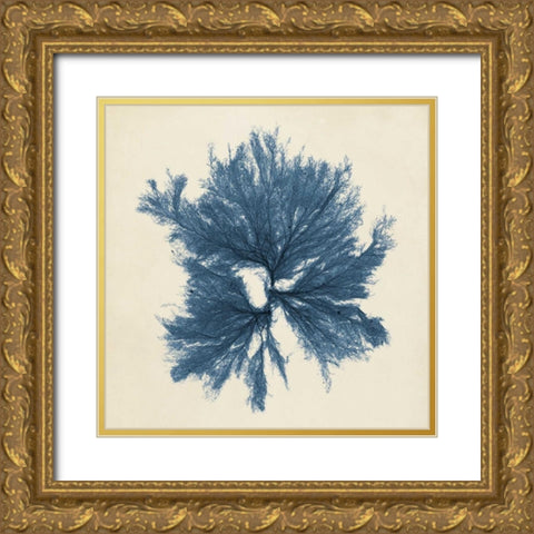 Coastal Seaweed V Gold Ornate Wood Framed Art Print with Double Matting by Vision Studio