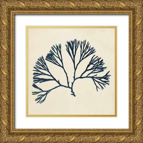 Coastal Seaweed VI Gold Ornate Wood Framed Art Print with Double Matting by Vision Studio