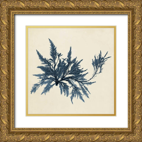 Coastal Seaweed VII Gold Ornate Wood Framed Art Print with Double Matting by Vision Studio