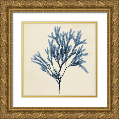 Coastal Seaweed VIII Gold Ornate Wood Framed Art Print with Double Matting by Vision Studio