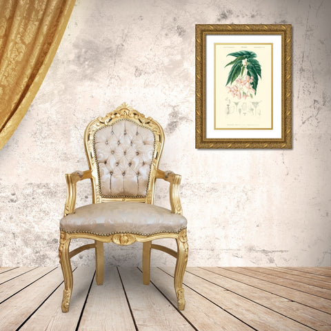 Embellished Floral Botanique III Gold Ornate Wood Framed Art Print with Double Matting by DOrbigny, N.Charles