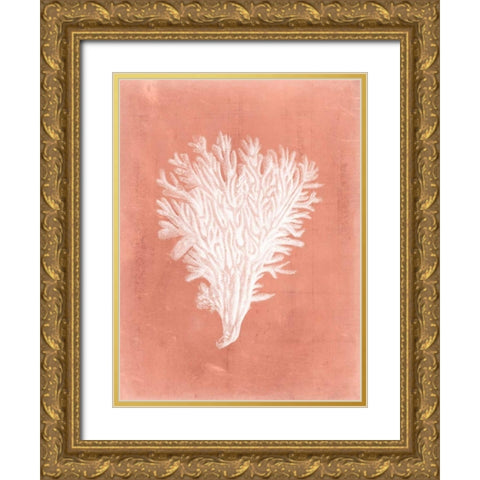 Sealife on Coral II Gold Ornate Wood Framed Art Print with Double Matting by Vision Studio