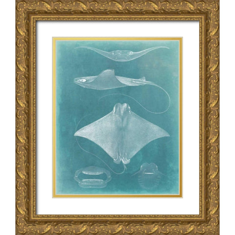 Morning Swim II Gold Ornate Wood Framed Art Print with Double Matting by Vision Studio