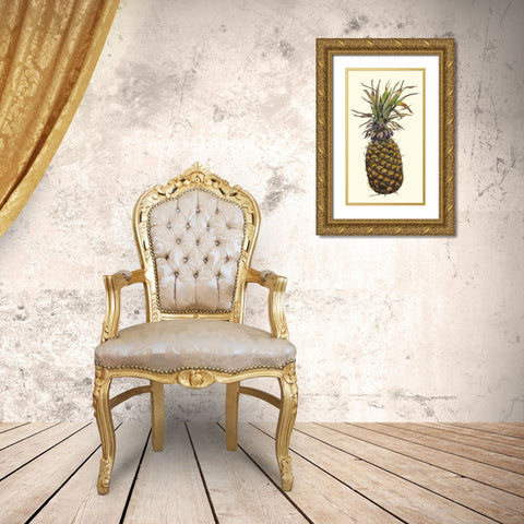 Pineapple Study I (ASH) Gold Ornate Wood Framed Art Print with Double Matting by Willett, Michael