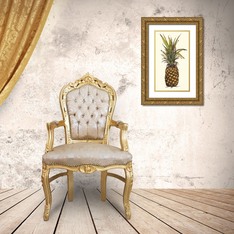 Pineapple Study II (ASH) Gold Ornate Wood Framed Art Print with Double Matting by Willett, Michael