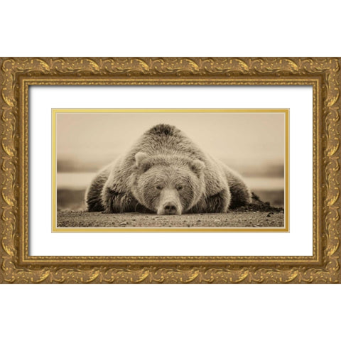 Deep Sleep Gold Ornate Wood Framed Art Print with Double Matting by PHBurchett
