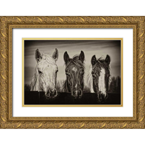 Three Amigos I Gold Ornate Wood Framed Art Print with Double Matting by PHBurchett
